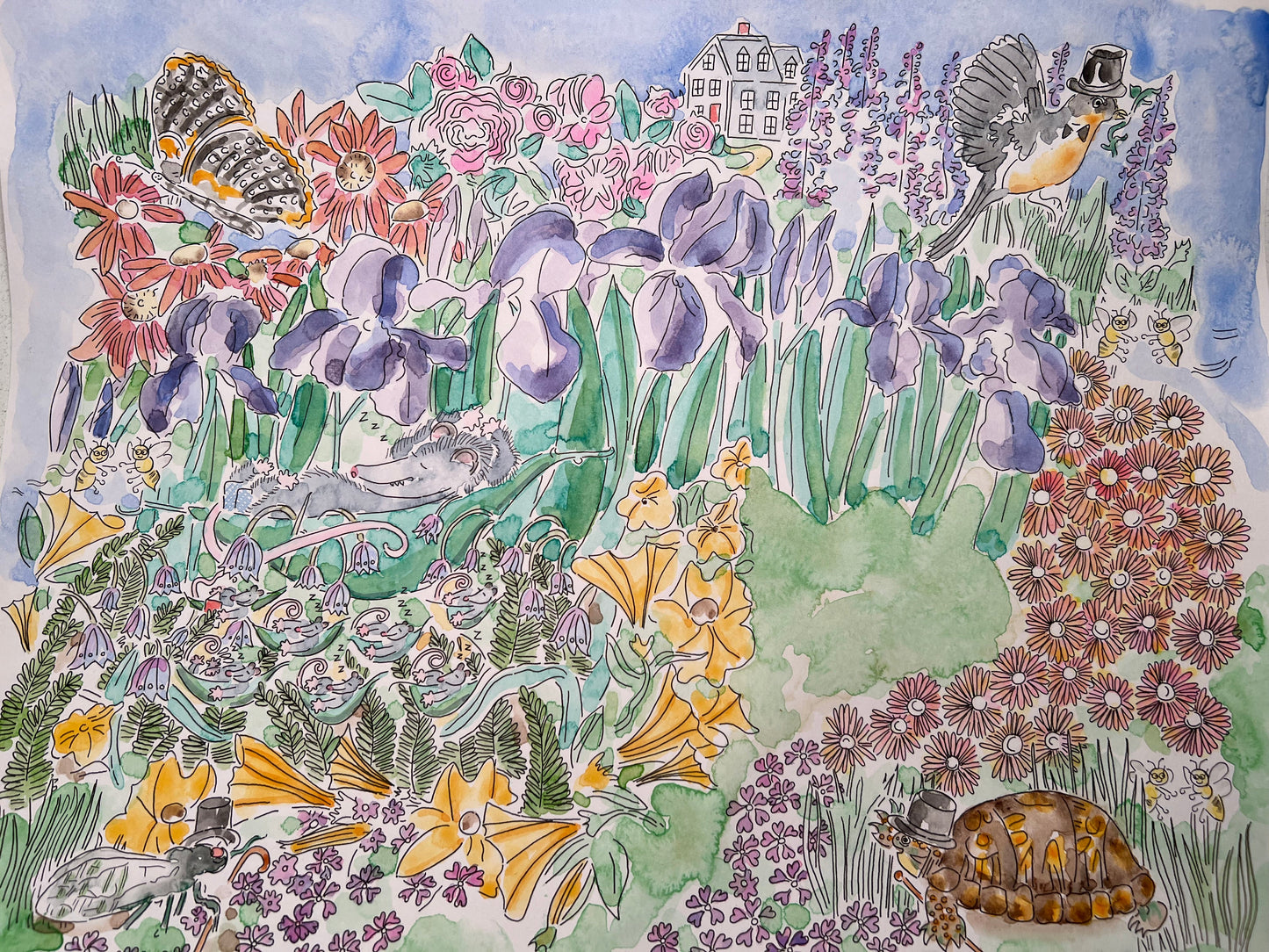 Shop Annapolis Cats Thistle Book