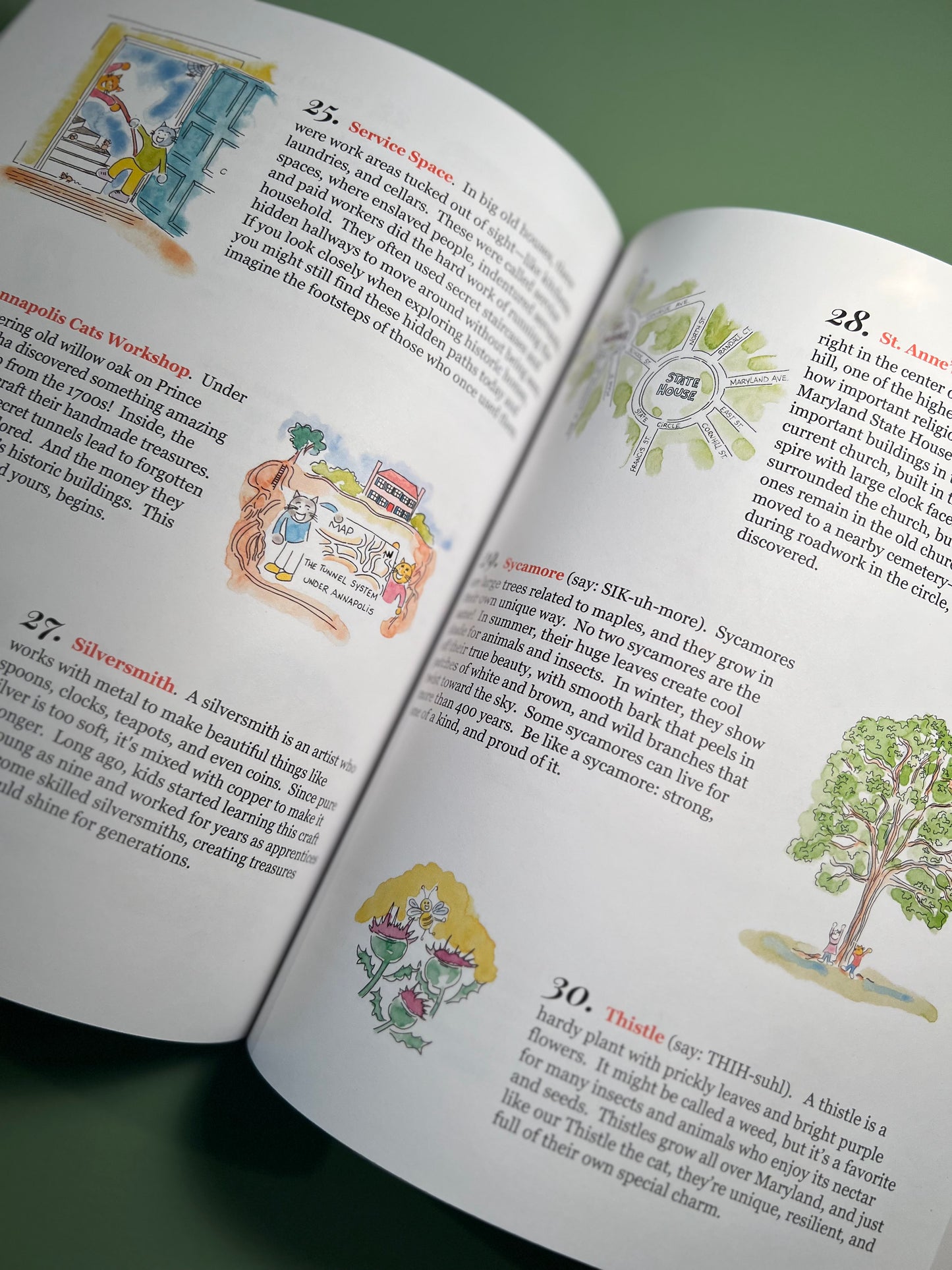 Shop Annapolis Cats Thistle Book