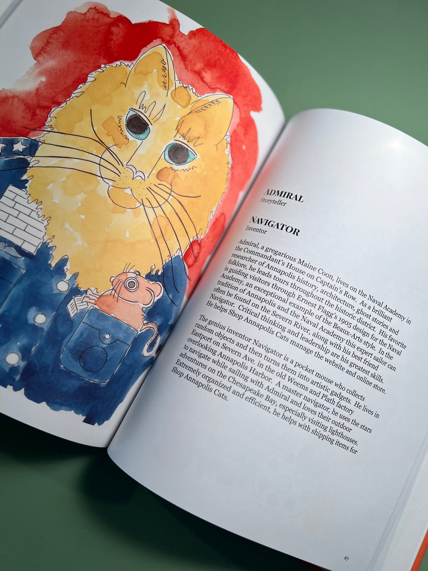 Shop Annapolis Cats Thistle Book